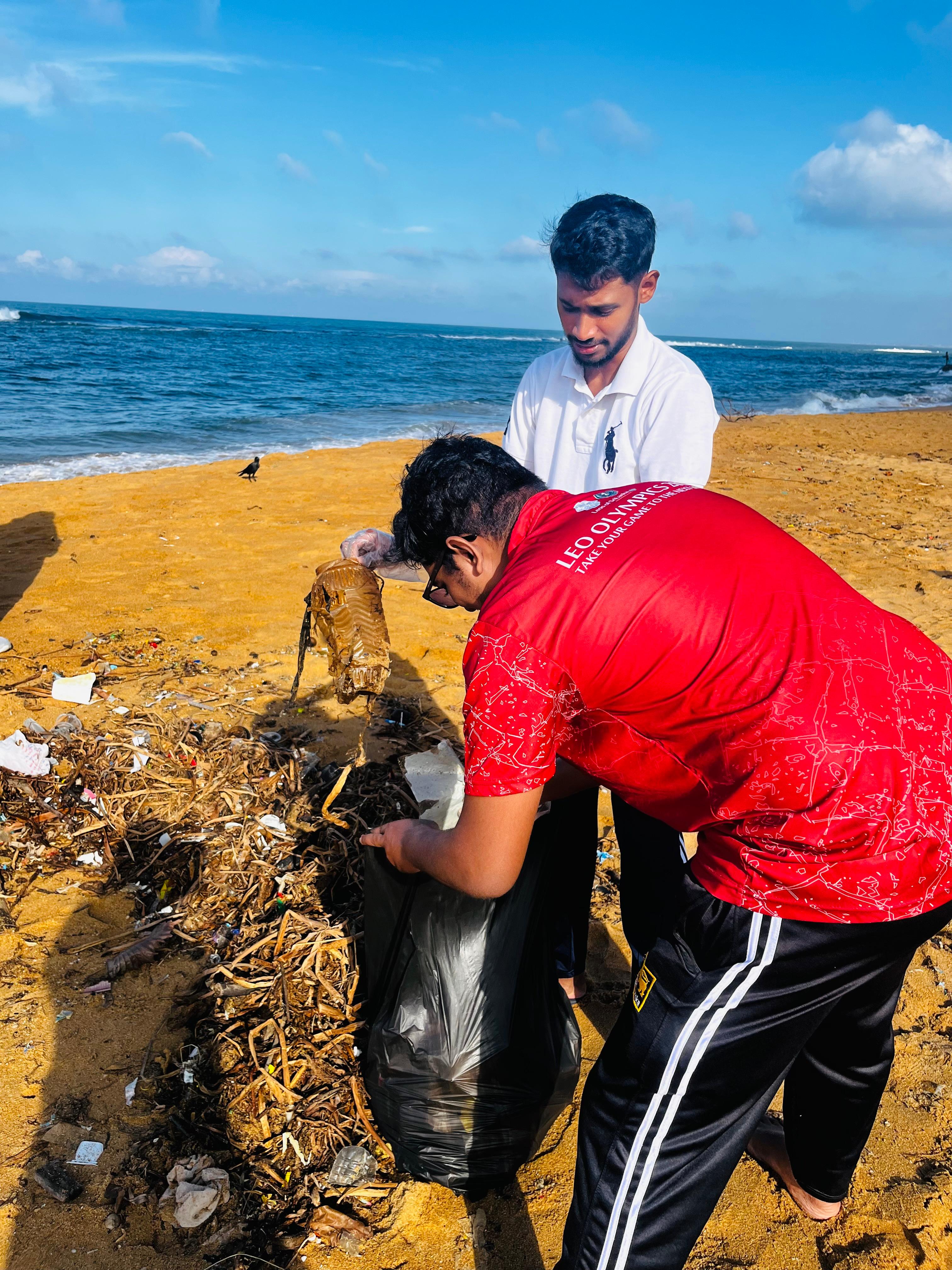 WAVE WHISPERS 3.0 - November 2025